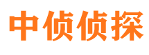 金家庄侦探